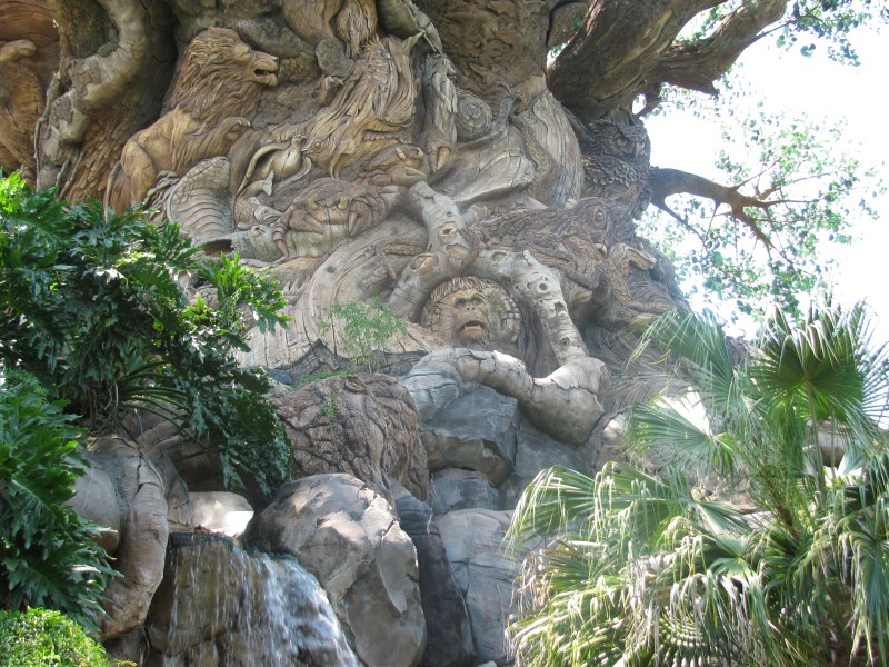 Animal Kingdom 122.jpg